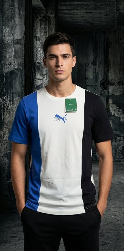Puma Premium Color Block T-Shirt